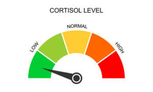 cortisol levels and stress