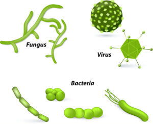 Fight against Bacteria, Fungi, and viruses
