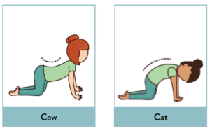 cat cow best yoga poses